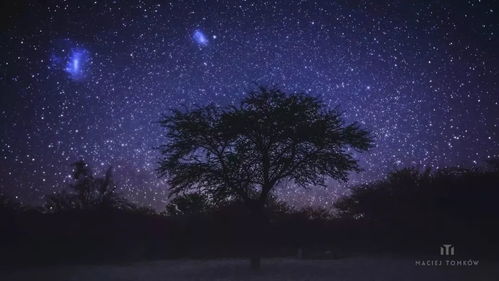  短剧夜空中最亮的星全集观看--第1张