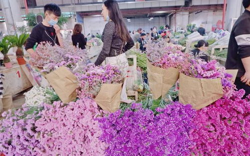  探秘昆明鲜花批发市场，地址大揭秘--第1张