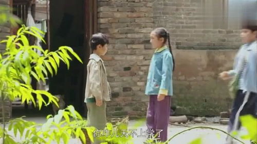  短剧小浩的逍遥生活全集观看，小浩的逍遥生活全集在线观看，短剧喜剧之王小浩的日常生活--第1张