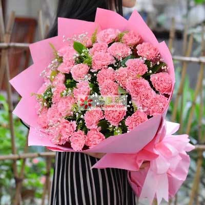  康乃馨花束包装图片--第1张