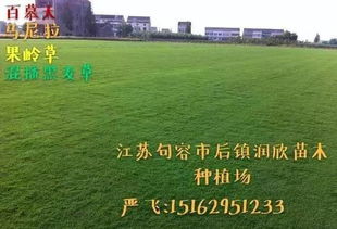  58苗木求购网，一站式苗木采购平台，轻松解决您的采购需求--第1张