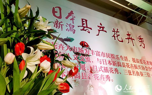  哈尔滨花卉大市场电话，哈尔滨花卉大市场联系方式--第1张