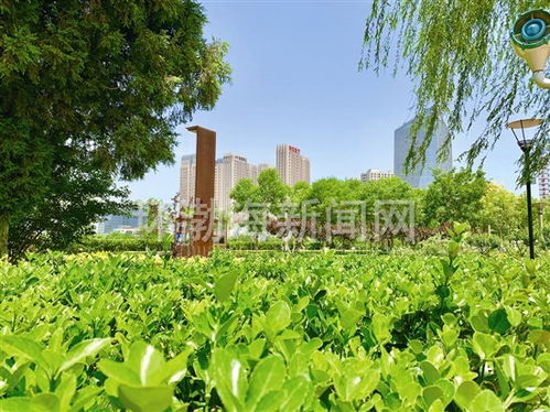  西安三五一一花卉市场，绿色生活的艺术与魅力--第1张
