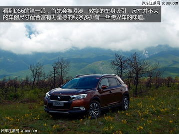 谛艾仕汽车_谛艾仕汽车ds6咋烧机油呢--第1张