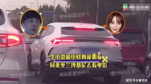 短剧薄总太太又去跟人约会了全集观看--第1张