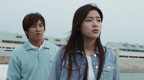  短剧我的野蛮女友全集观看--第1张