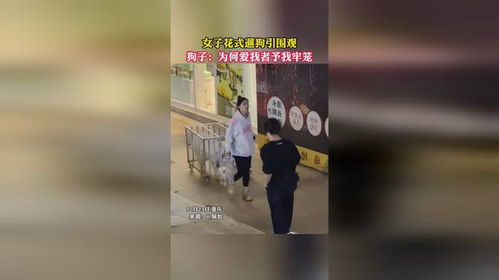  短剧为何爱我者予我牢笼全集观看--第1张