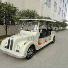 高尔夫电动汽车报价及图片_2020年新款高尔夫电动汽车--第1张