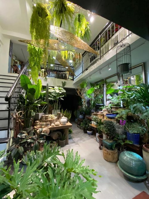  深圳哪里有花店，深圳哪里可以购买鲜花？--第1张