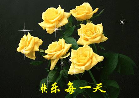  26种常见玫瑰花花语大揭秘--第1张