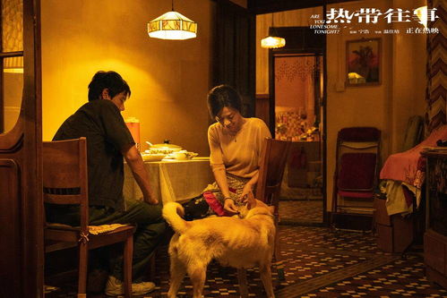  短剧无间全集观看，揭秘精彩纷呈的剧情故事--第1张
