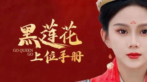  短剧丐婿之重回巅峰全集观看--第1张