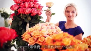  厄瓜多尔蓝白玫瑰，独特花语，传递深情--第1张