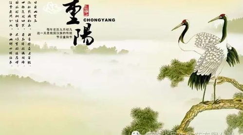  孝顺竹名字的由来--第1张