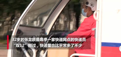  短剧新快递员之奋斗人生全集，一部充满激情与挑战的快递员奋斗故事--第1张
