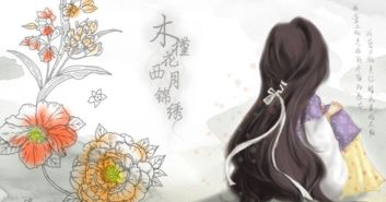  木槿花西月锦绣番外--第1张