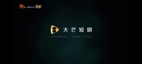  短剧纵横职场全集观看--第1张