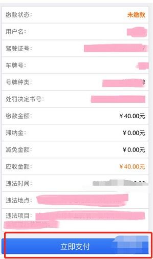 苏州违章查询系统_苏州违章查询查询--第1张