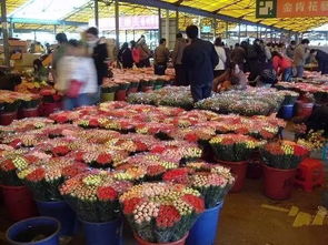  广州鲜花批发市场在哪里，广州鲜花批发市场在哪里之一，广州花地花市批发市场--第1张