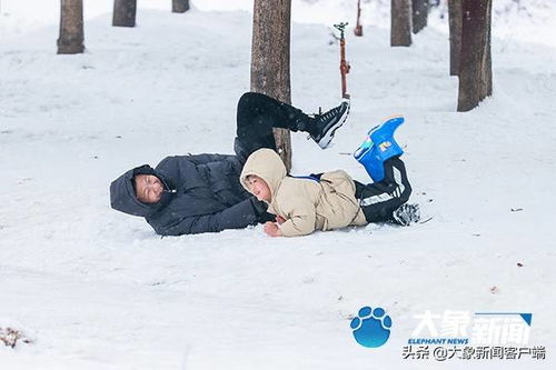  短剧雪落下的声音全集观看，雪落下的声音全集免费观看，感人短剧，让你泪目--第1张