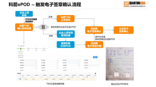  苗木苗供应，把握市场脉搏，助力绿色发展--第1张