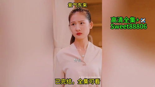  短剧紫气东来全集观看--第1张