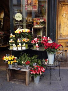  附近花店鲜花——为您的生活增添色彩，附近花店鲜花，为生活增添色彩--第1张