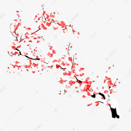  梅花图片大全手绘，冬日里的温暖与坚韧--第1张