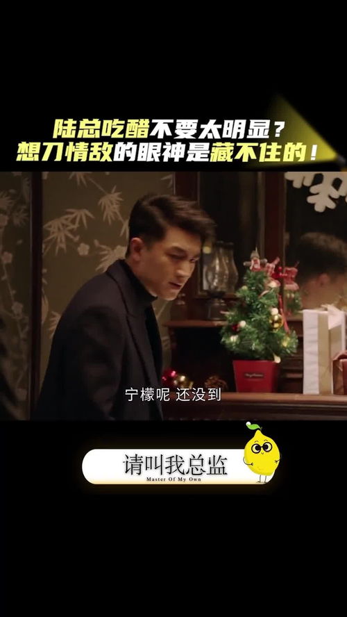  短剧陆总夫人又来报复您了全集观看，陆总夫人又来报复您了全集免费观看--第1张
