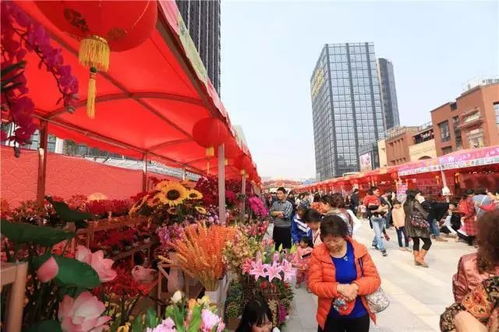  昆明本地人一般去哪个花市——探寻昆明最受欢迎的花卉市场--第1张
