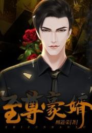 短剧至尊丐婿苏寰王青青吴梦媛全集观看，苏寰王青青吴梦媛的短剧至尊丐婿全集，喜剧之王--第1张