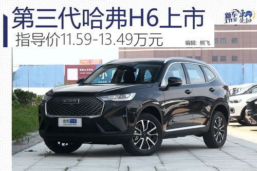 哈弗h6报价及图片2021款_哈弗h6报价及图片2019新款--第1张