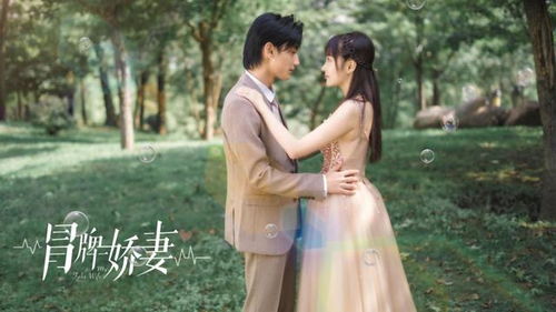  短剧黎总的替嫁娇妻路太野全集观看--第1张