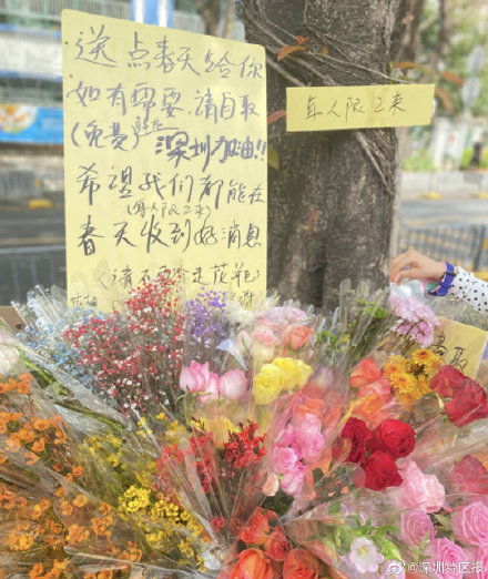  附近的鲜花店订花——为你的生活增添一抹色彩--第1张