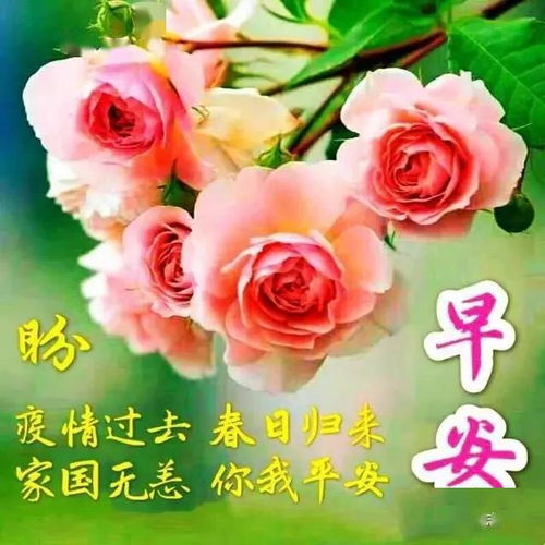  送鲜花祝福语，让你的爱意瞬间绽放--第1张