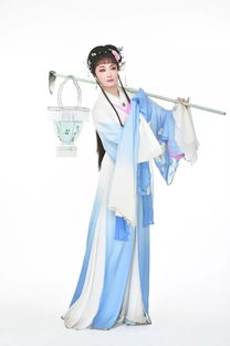  短剧天上掉下个驸马爷全集观看，驸马爷传奇，天上掉下的奇遇--第1张