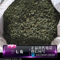  三七花多少钱一斤，三七花多少钱一斤？价格因品质而异，一般在几十到一百多元一斤。--第1张