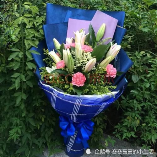  妇女节送什么花最好，妇女节送康乃馨花最好--第1张