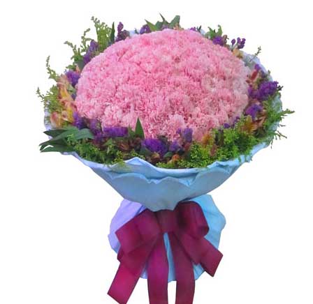  33朵红色康乃馨，爱的永恒承诺--第1张