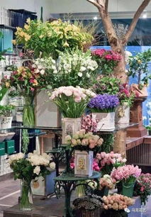 花店常用鲜花品种--第1张