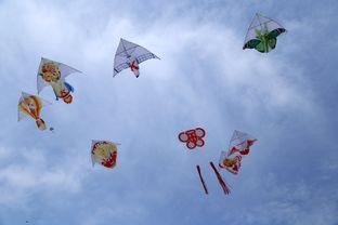  短剧飞上蓝天空中奇遇全集观看，一场奇妙的空中冒险--第1张