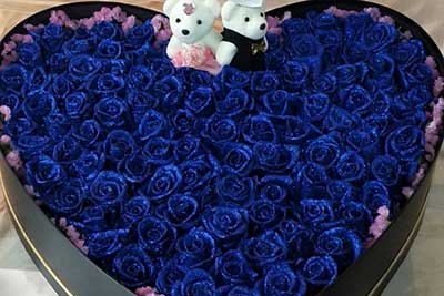  蓝色妖姬干花多少钱一束——美丽与价格的完美结合，蓝色妖姬干花多少钱一束——美丽与价格的完美结合及购买建议--第1张