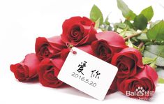  ，11朵玫瑰的神秘魅力，尺寸与价值的完美结合--第1张