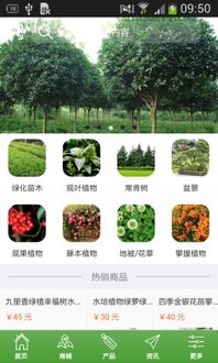  中华苗木网app下载——一站式苗木采购平台--第1张