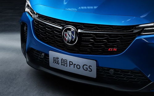 别克威朗pro乐享版_别克威朗pro乐享版油箱多少升--第1张