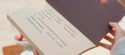  短剧执笔P全集观看--第1张