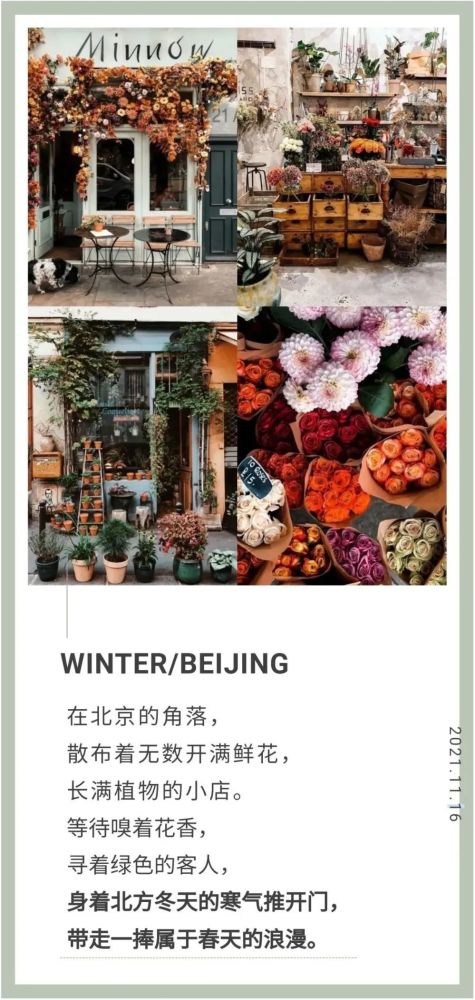  北京市附近花店，精选推荐与购物指南--第1张