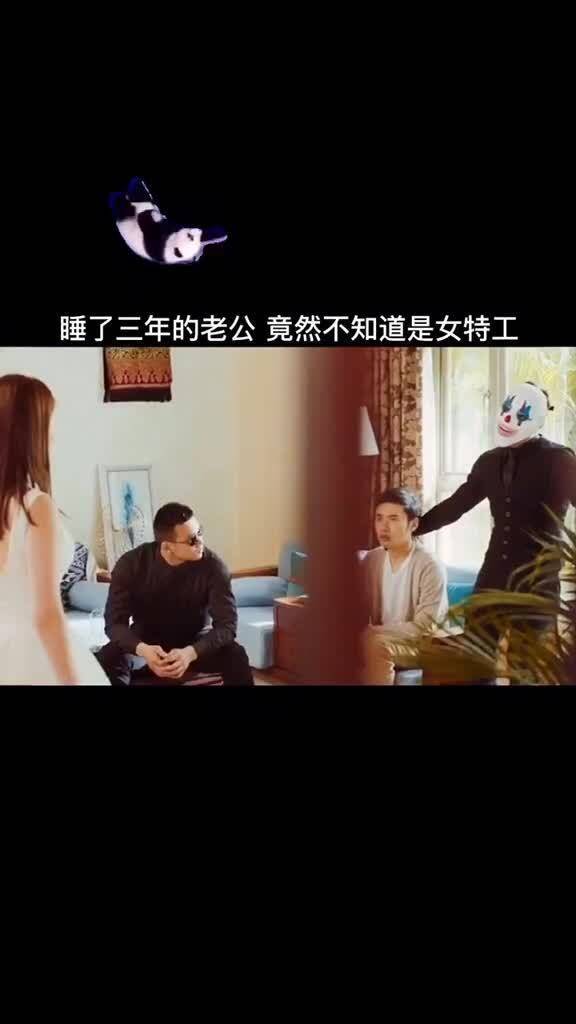  短剧我的老婆是特工全集观看--第1张