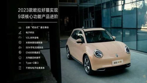 欧拉好猫报价_欧拉好猫报价多少--第1张