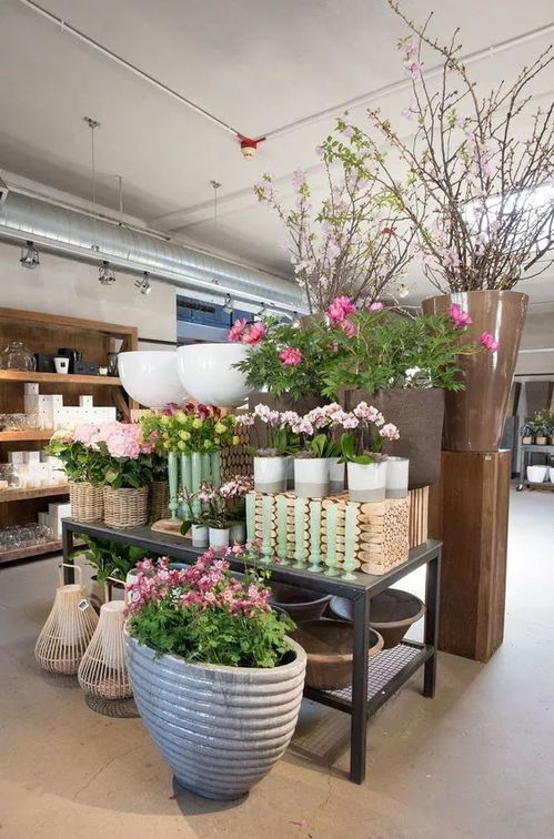  离我最近的花店在哪里？，离你最近的花店在哪里？--第1张